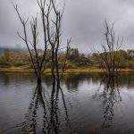 Jezero Mrzla vodica ŠRK "Lokvarka" Lokve